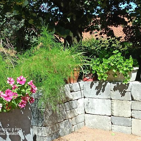 Erable Pourpre Bed & Breakfast Saint-Georges-Haute-Ville Bagian luar foto
